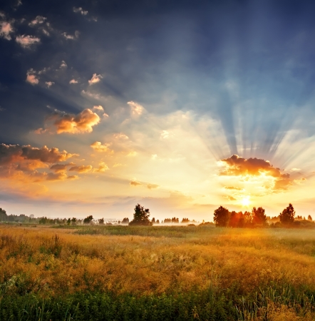 Landscape, sunny dawn in a fieldの写真素材