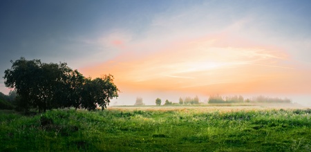 Landscape, sunny dawn in a fieldの写真素材