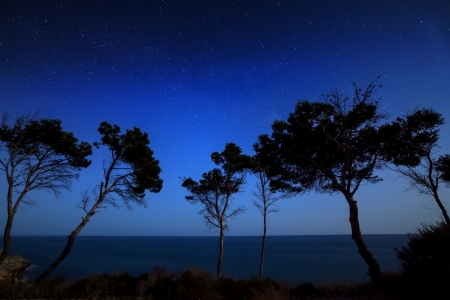Sky with stars in night, landscapeの写真素材