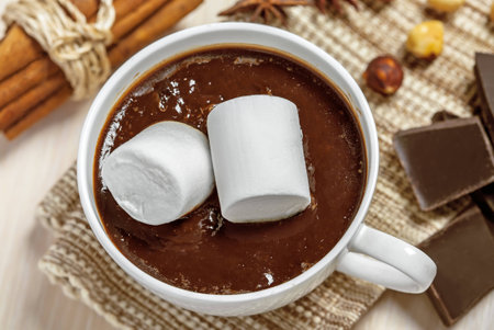 Mug of hot chocolate with marshmallow, cinnamon, anise and nuts, top viewの写真素材