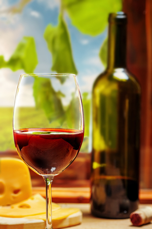 Red wine in glass and bottleの写真素材
