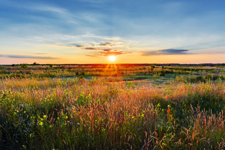 Sunset in field, beautiful summer landscapeの写真素材