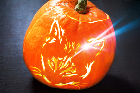 Halloween pumpkin with cat mouth, Jack O Lanternの写真素材