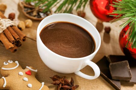 Christmas hot chocolate with gingerbread and cinnamonの写真素材