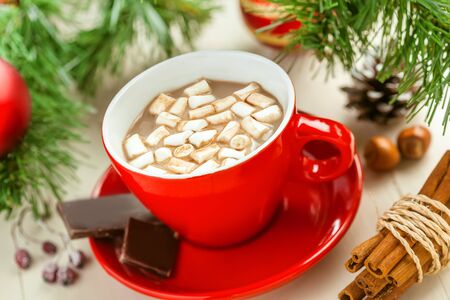 Hot chocolate, traditional winter hot drink with marshmallow.の写真素材