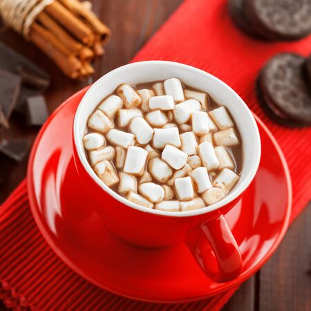 Cocoa with marshmallow in red mug. Hot chocolate with delicious sweet cookies.の写真素材