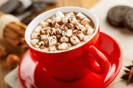 Cocoa with marshmallow in red mug. Hot chocolate with delicious sweet cookies.の写真素材