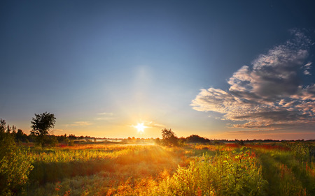 Landscape, Sunrise in fieldの写真素材