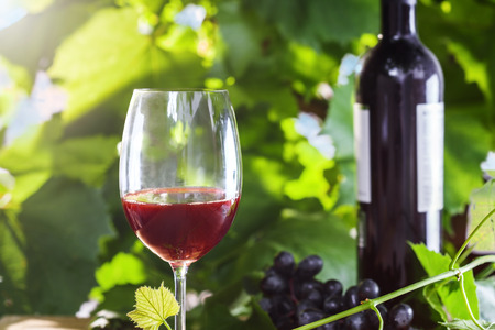 Glass and bottle of vintage red wine on a table. Outdoor shot.の写真素材