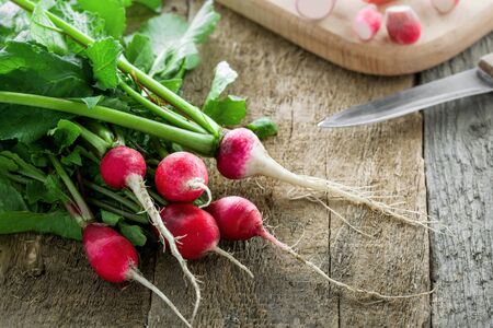 Bundle of fresh home gardening radish on a rustic wooden table. Healthy organic vegetables.の写真素材