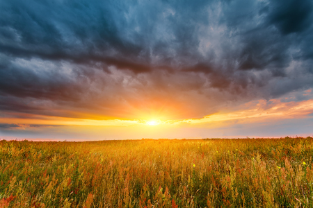 Summer field full of grass, sunset sky above. Beautiful sunset landscape with dark cloudsの写真素材