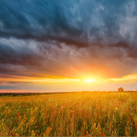 Beautiful sunset landscape. Sunset cloudy sky above summer field.の写真素材
