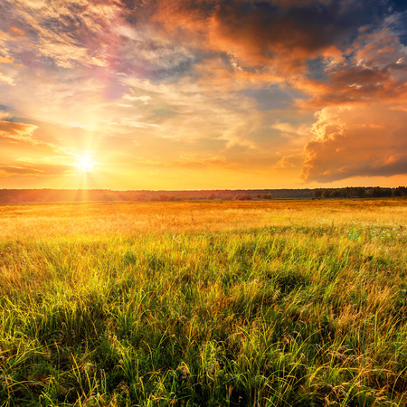 Summer landscape with uncultivated field and beautiful sunset above it.の写真素材