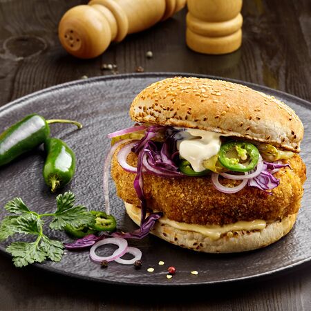 Sandwich made of chicken burger red onion, pickled cucumber, jalapeno and mayonnaise with glass of beer. Top view, directly above shot.の写真素材