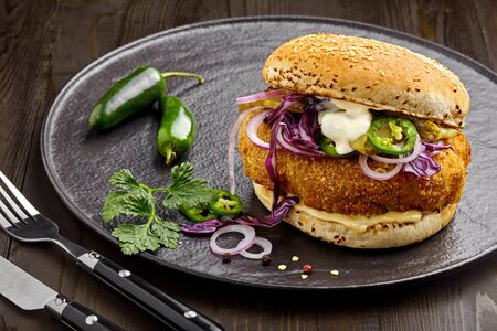 Sandwich made of chicken burger red onion, pickled cucumber, jalapeno and mayonnaise with glass of beer. Top view, directly above shot.の写真素材
