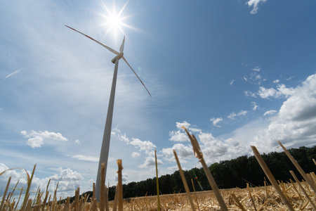 Wind turbines in a wheat field with a blue sky in the backgroundの写真素材