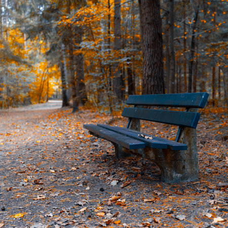 Bench in the autumn forest. Beautiful autumn landscape with wooden bench.の写真素材