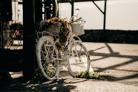old white bicycle with flowers abandonedの写真素材