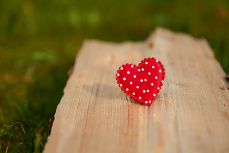 Red heart with the green garden background on a wood の写真素材