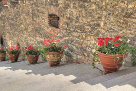 Photo shows details of green garden and its flowers.の写真素材