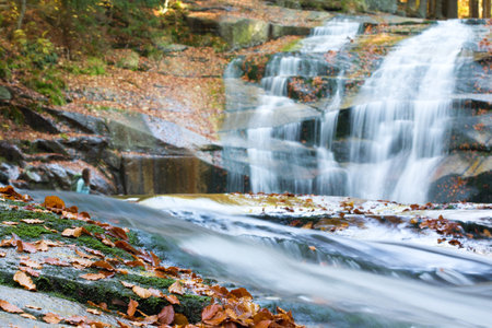 Photo shows a closeup of an autumn forest with river and stones.の写真素材