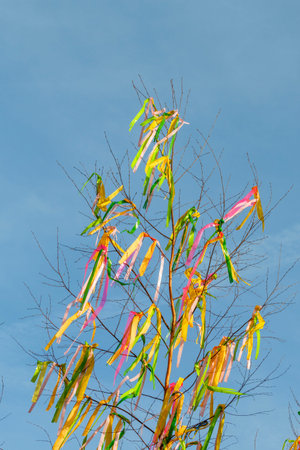 This photo shows colorful Easter fringes on maypole tree. There is a blue sky in the background. Photo was taken during a sunny spring day.の写真素材