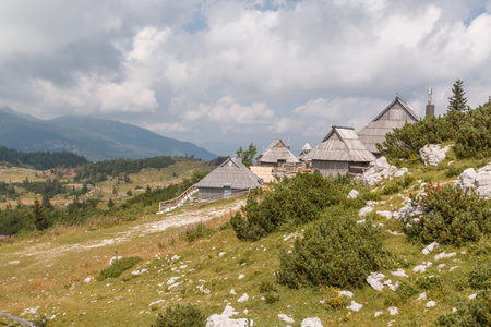 Photo shows old wooden houses in the mountains in summer.の写真素材
