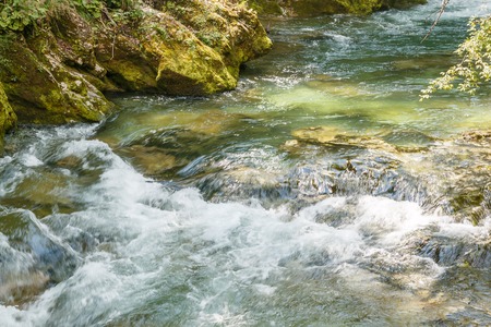 Photo shows close-up of floating river in the middle of forest in summer.の写真素材