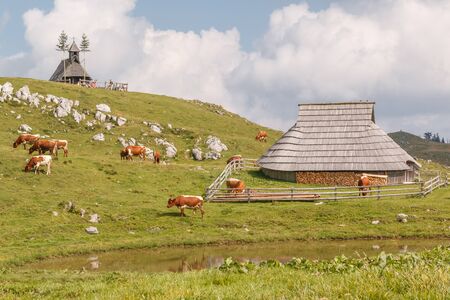 Photo shows old wooden houses in the mountains in summer.の写真素材
