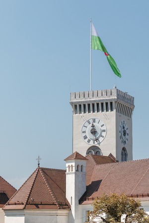 Photo shows old stony castle surrounded by blue sky in summer.の写真素材
