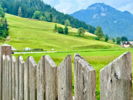 The photo captures a stunning rural landscape with majestic mountains and lush trees.の写真素材