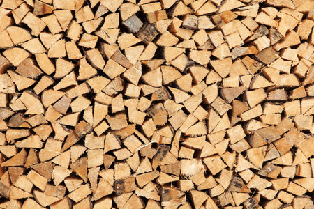 wooden pile structure