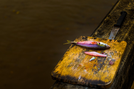 Fish life donate to other life.の写真素材