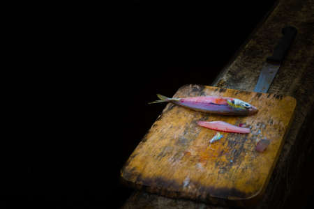 Life of fish donate on other lifesの写真素材