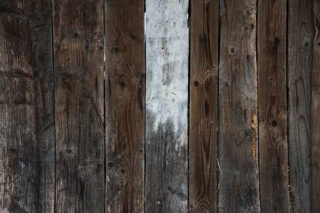 Detailed fragment of wooden background, texture. Ukraine