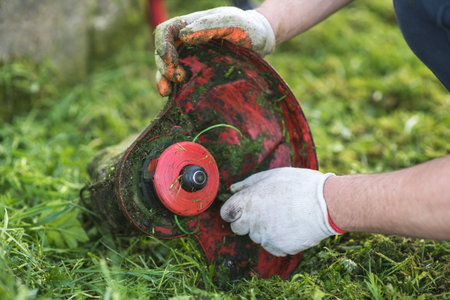 String trimmer cleaning after cutting the grass