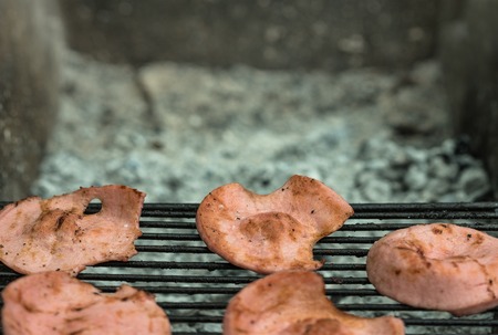 Roasted slices of sausage on a grill, outdoor recreation, picnicの写真素材