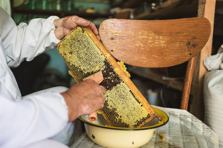 Beekeeper prepares honeycomb to extracting honey. Apiculture