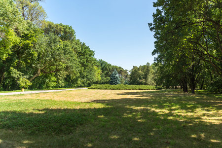 Landscape, Dendrological Park of the National Reserve Askania Nova in Ukraineの写真素材