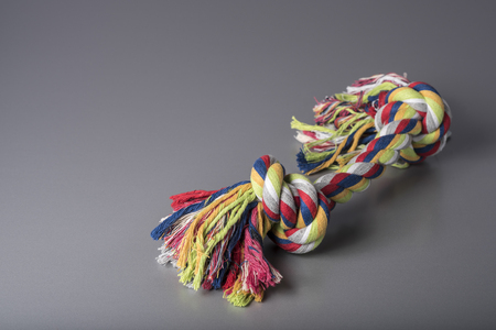 Colorful dog cotton rope for games and fun, grey background, top front view, training accessoryの写真素材