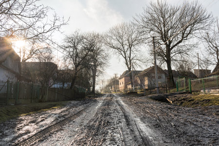 Village landscape, swamp and wet road, old houses and trees around, road theme, countryside path,...