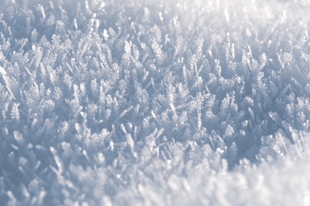 Macro look of snow crystals snowflakes. Winter background.の写真素材
