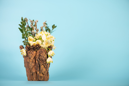 Flowers in decorative vase. Leucojum vernum is the first spring snowflake, studio shot.の写真素材