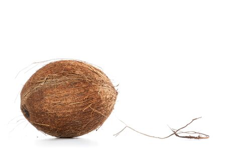 Coconut on white background, with copy space for textの写真素材