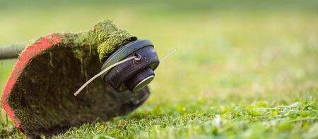 String trimmer on mown grass., close up Banner format background with copy space. Theme of lawn care services, tool rental or repair.の写真素材