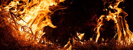 Nature on fire. Night shot. Themes of fire, disaster and extreme events. Background with copy space for text, banner formatの写真素材