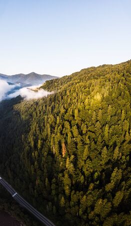 Aerial drone view above misty mountains and coniferous forest. Vertical landscape. Morning time. Carpathians, Ukraineの写真素材