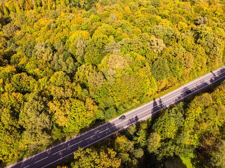 Vehicles moving on road. Above of highway between colorful forest. Aerial drone view. Golden Autumn. Theme of travel and car rental.の写真素材