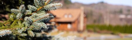 Spring time. Beautiful panoramic natural background with copy space. Theme of outdoor recreation.の写真素材