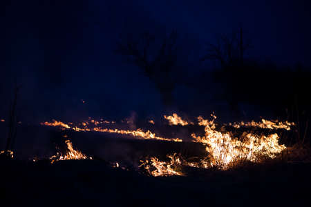 Nature on fire, night shot. Arson and fire, disaster and extreme events themes.の写真素材